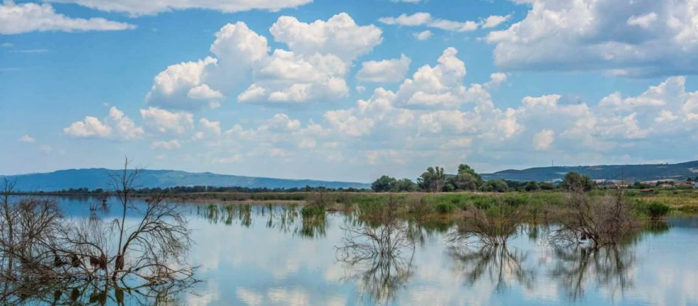 Θεσσαλονίκη: Ρύπανση από ανεξέλεγκτη ρίψη λυμάτων σε ρέμα που καταλήγει στη λίμνη Κορώνεια